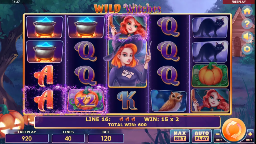 Wild Witches slot